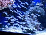 DSC03818.jpg
