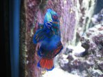 IMG_7752.jpg