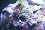 week 22 027.jpg