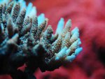 DSC_0037.JPG