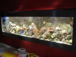 zeeaquarium aan de muur.JPG
