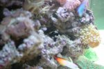 IMG_1457.jpg