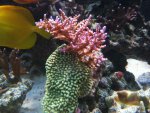 IMG_1307.jpg