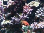 IMG_1296.jpg