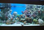vakantie frankrijk 2010 460.jpg