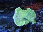 IMG_7819.jpg