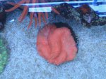 IMG_7836.jpg