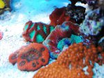 DSC_0044.JPG