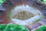 IMG_2456.jpg