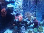 FTS nov 2010.jpg FTS nov 2010.jpg