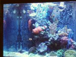 fts dec 2010.jpg fts dec 2010.jpg