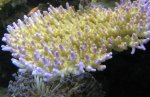 DSCN1235.jpg