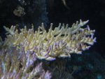 DSCN1288.JPG