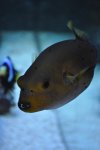 DSC_1416.jpg
