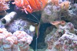 IMG_2951.jpg