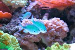 IMG_3233.jpg
