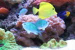 IMG_3234.jpg