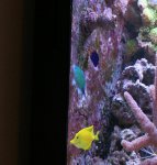 IMG_3223.jpg