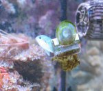 IMG_3186.jpg