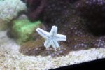 IMG_3922.jpg