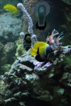 DSC_1563.jpg