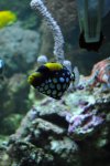 DSC_1564.jpg
