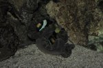 DSC_1591.JPG