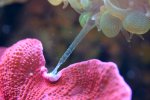 IMG_3607.JPG