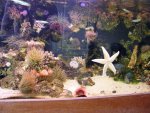 P1010559----------1.jpg
