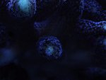 DSCF1064.jpg