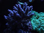 DSCF1069.jpg