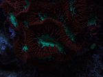 DSCF1073.jpg