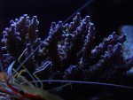 DSCF1077.jpg