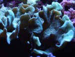 DSCF1081.jpg