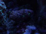 DSCF1082.jpg