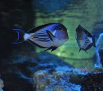 DSC_1669.JPG
