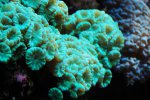 aqua 032.jpg