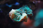 aqua 052.jpg