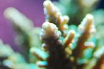 aqua 059.jpg