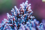 aqua 058.jpg