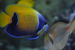 DSC_1676.jpg