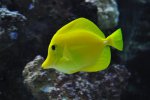 DSC_1689.jpg