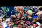 aqua 045.jpg