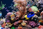 aqua 048.jpg