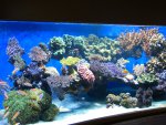 DSC03894.JPG