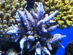 DSC03900.JPG
