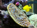 IMG_0682.jpg
