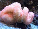 IMG_0696.jpg