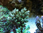 IMG_0914.jpg