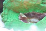 IMG_4011.jpg